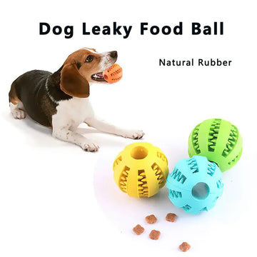 Dog Treat Dispensing Ball